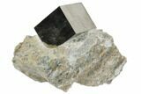 Natural Pyrite Cube In Rock From Spain #82073-1
